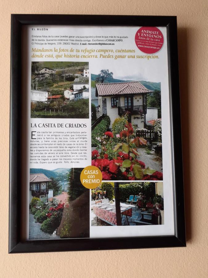 La Casina De Santulaya Villa Cangas De Narcea Eksteriør bilde